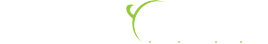 systronic